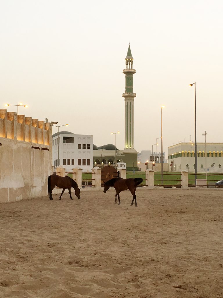 Sightseeing in Qatar