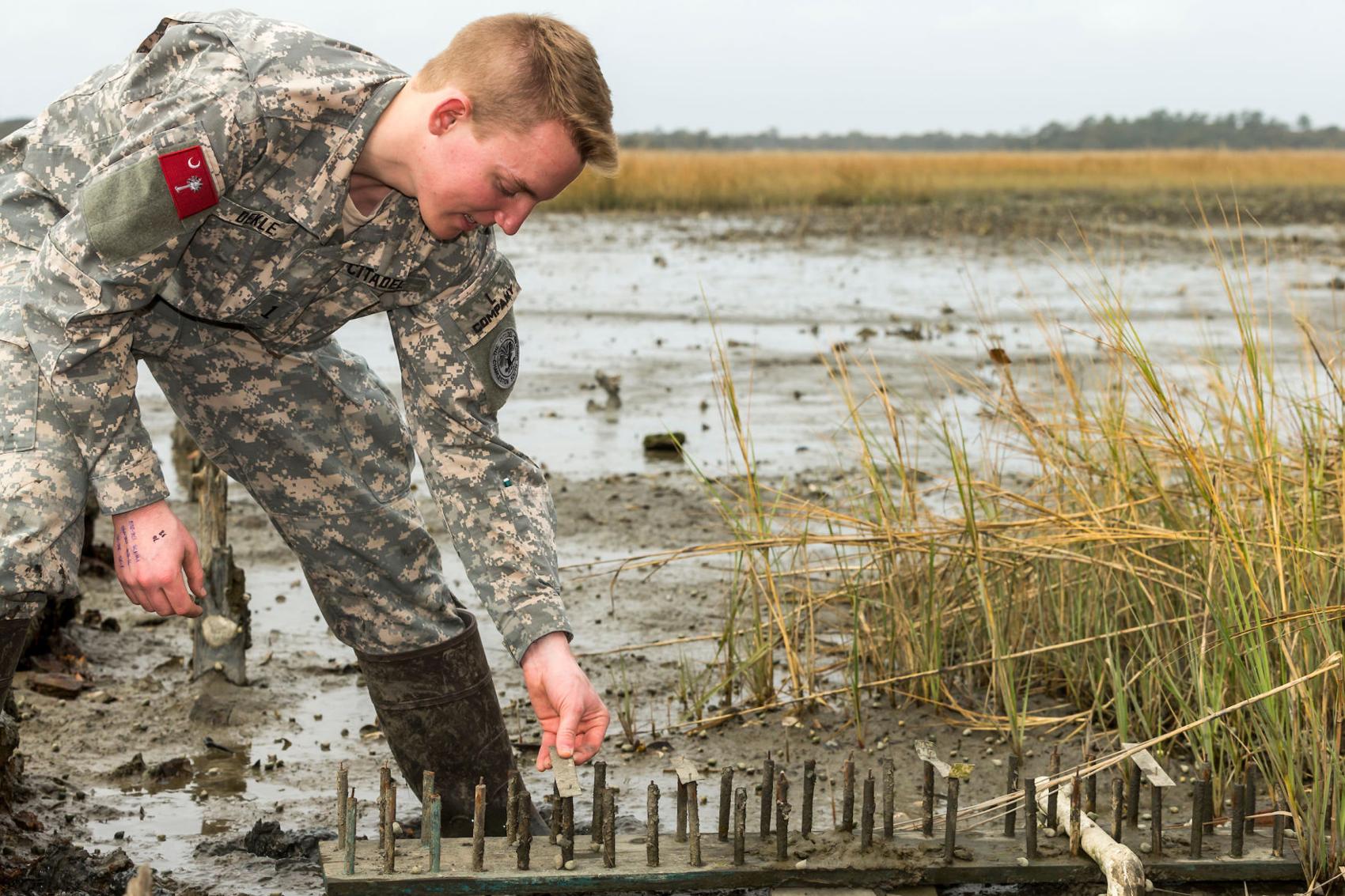New South Carolina water pollution research from The Citadel points to