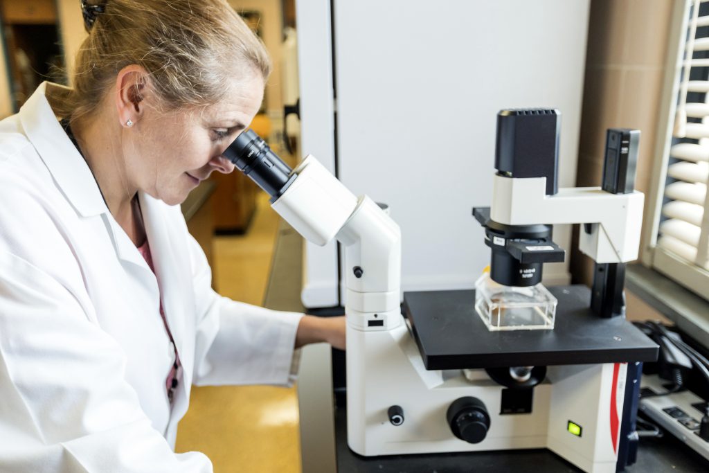 Dr. Kathy Zanin, Citadel biology professor and immunology researcher