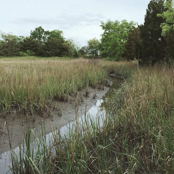 Gadsden Creek