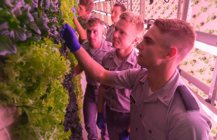 Cadets look at lettuce in the sustainable farm container on The Citadel campus