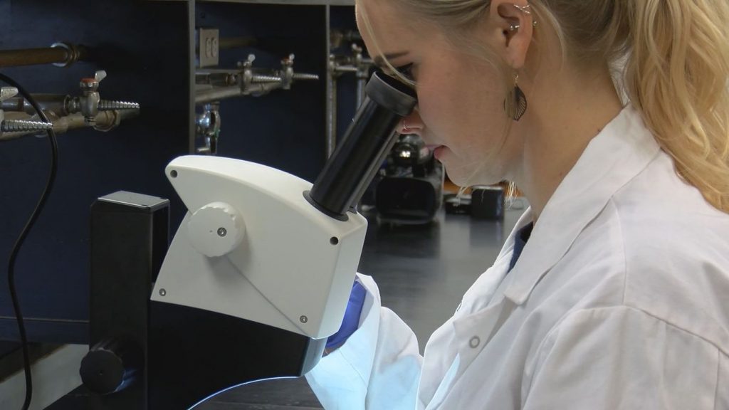 Graduate student Sarah Kell evaluating water samples in lab at The Citadel