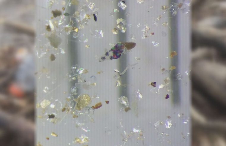 Plastic particles discoverd through Citadel testing. Photo Courtesy of WIS TV