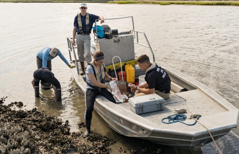 Citadel researcher Dr. John Weinstein with cadets and students collecting samples of oysters for microplastic pollution research