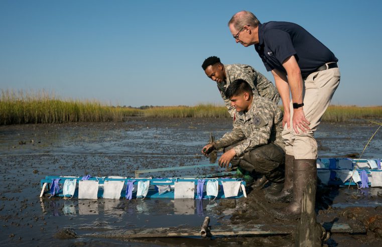 Cadets Jerry Higgins and Douglas Karam, accompanied by Dr. John Weinstein, Biology, deploy an experiment to measure how face masks, rubber gloves and hand wipes decompose in the salt marsh behind Inouye Hall on Thursday, October 14, 2021. Credit: Cameron Pollack / The Citadel