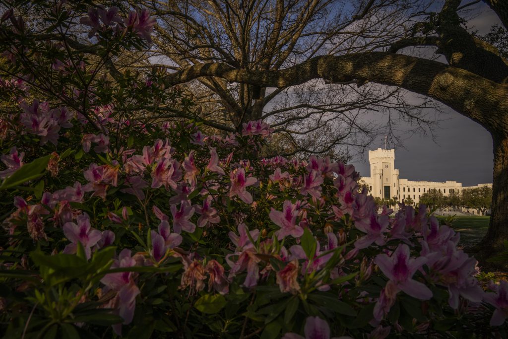 The Citadel Photo