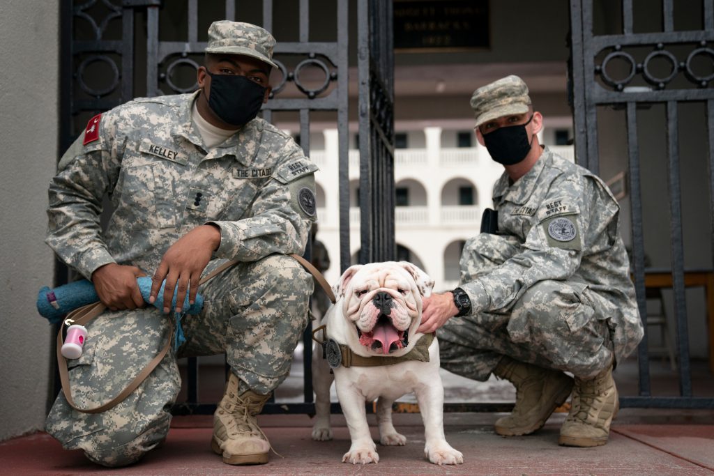Citadel mascot Gen. Mike P. Groshon with two cadet handlers on Aug 6, 2020