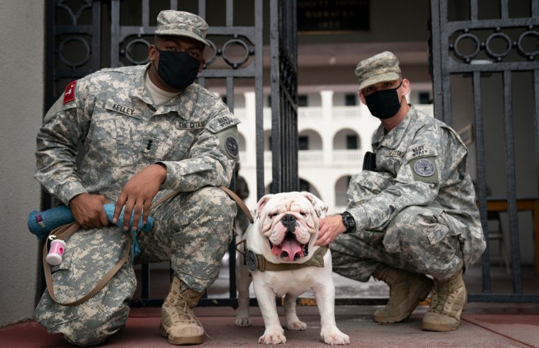 Citadel mascot Gen. Mike P. Groshon with two cadet handlers on Aug 6, 2020