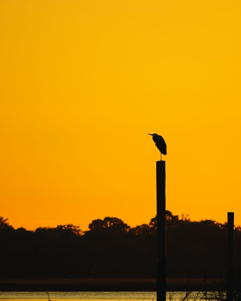 • The GSJ Distinction in Photography “Serenity” by Chase Ervin, 2022, Civil Engineering Major.